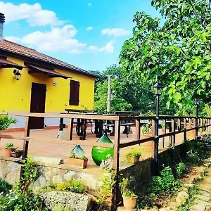 Rifugio La Foresta Alloggio per agriturismo Montioni Allumiera